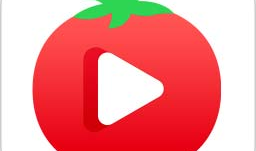 黄页免费视频,探索无限精彩，轻松获取优质资源