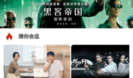 电视频播放,揭秘电影XXX背后的故事与魅力